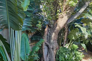 611 S Palmway, Lake Worth Beach, FL 33460 - Photo 35