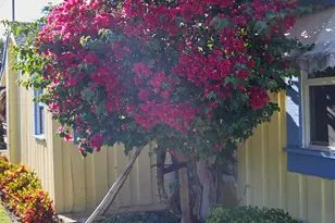 611 S Palmway, Lake Worth Beach, FL 33460 - Photo 3