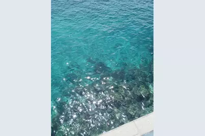 721 Lori Drive #309, Palm Springs, FL 33461 - Photo 75