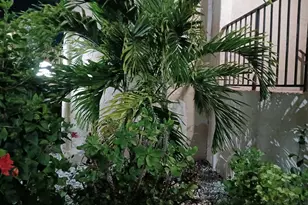 721 Lori Dr, Palm Springs, FL 33461 - Photo 53