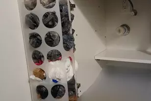 721 Lori Dr, Palm Springs, FL 33461 - Photo 9