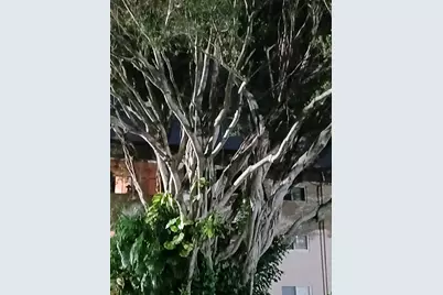 721 Lori Drive #309, Palm Springs, FL 33461 - Photo 65