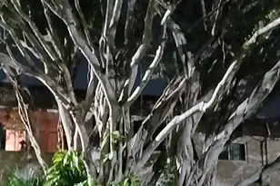 721 Lori Dr, Palm Springs, FL 33461 - Photo 65