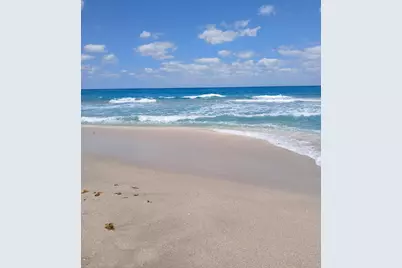 721 Lori Drive #309, Palm Springs, FL 33461 - Photo 73