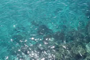 721 Lori Dr, Palm Springs, FL 33461 - Photo 77