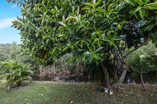 227 Dorchester J, West Palm Beach, FL 33417 - Photo 17