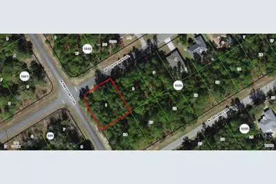 156 W Goldcoast Place, Citrus Springs, FL 34434 - Photo 1