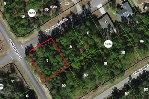 156 W Goldcoast Pl, Citrus Springs, FL 34434 - Photo 1