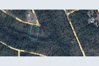 Tbd Pine Needle Street, Marianna, FL 32448 - Photo 1