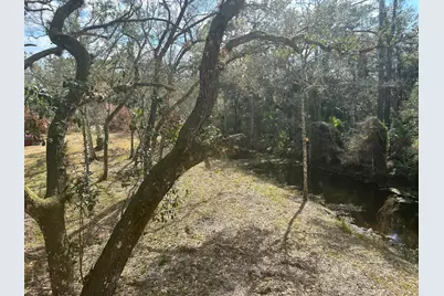 855 NW 368th Drive, Okeechobee, FL 34972 - Photo 11