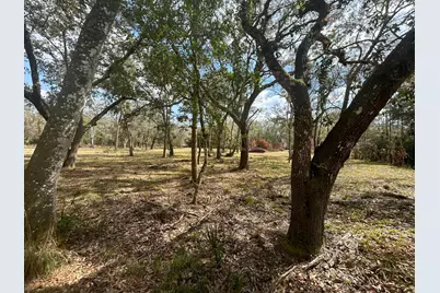 855 NW 368th Drive, Okeechobee, FL 34972 - Photo 5