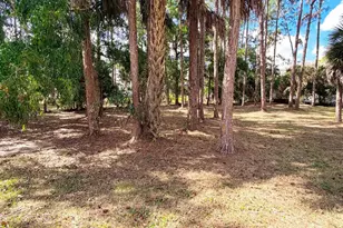 12070 N 52nd Road N, West Palm Beach, FL 33411 - Photo 19