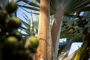 0 Pelican Ridge-Mill Reef, Almont, CO - Photo 55