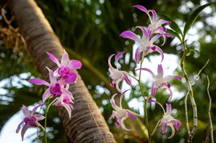 0 Pelican Ridge-Mill Reef, Almont, CO - Photo 11