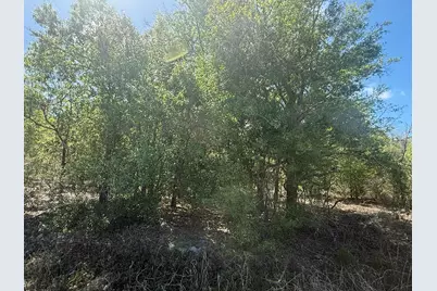 21668 NW 266th Street, Okeechobee, FL 34972 - Photo 3