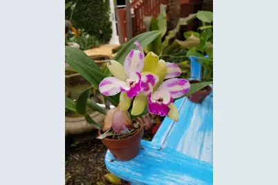 226 NE 1st Avenue #Key Lime Suite, Delray Beach, FL 33444 - Photo 49