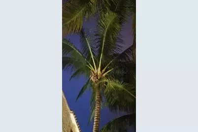 226 NE 1st Avenue #Key Lime Suite, Delray Beach, FL 33444 - Photo 43