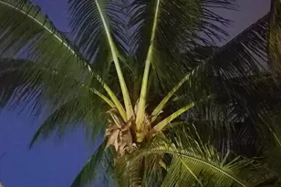 226 NE 1st Ave, Delray Beach, FL 33444 - Photo 43