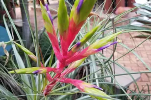 226 NE 1st Ave, Delray Beach, FL 33444 - Photo 51