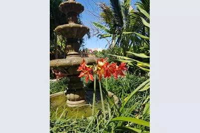 226 NE 1st Avenue #Coco Palm Ste, Delray Beach, FL 33444 - Photo 63