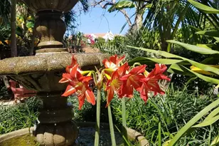 226 NE 1st Ave, Delray Beach, FL 33444 - Photo 63