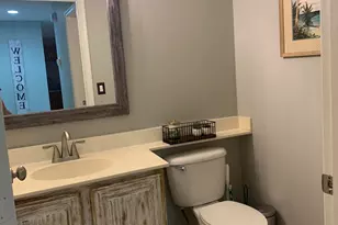 10667 Lake Shore Dr, Wellington, FL 33414 - Photo 37