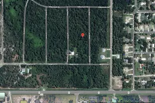 7019 Aster Pl, Sebring, FL 33875 - Photo 1