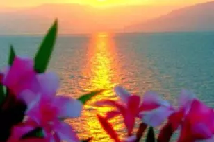 2901 SW 15th St, Delray Beach, FL 33445 - Photo 1