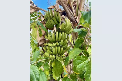 6685 Lakeside Road, West Palm Beach, FL 33411 - Photo 5