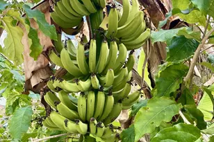 6685 Lakeside Rd, West Palm Beach, FL 33411 - Photo 5