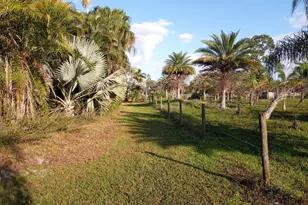 4500 SW Boatramp Ave, Palm City, FL 34990 - Photo 15