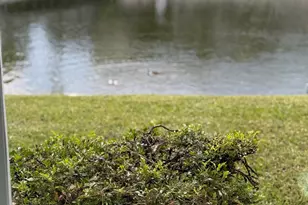 2616 N Gardens Dr, Lake Worth, FL 33461 - Photo 13