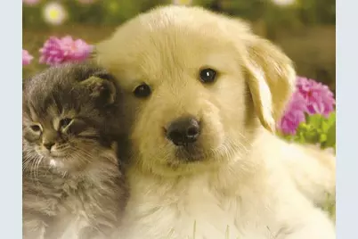 11753 Haddon Parkway, Boynton Beach, FL 33437 - Photo 59