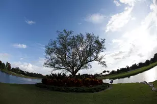 7314 Clunie Pl, Delray Beach, FL 33446 - Photo 93