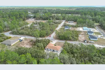 50 Malauka Pass, Ocklawaha, FL 32179 - Photo 41