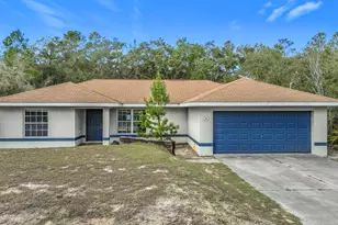 50 Malauka Pass, Ocklawaha, FL 32179 - Photo 1