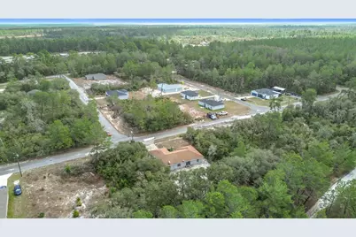 50 Malauka Pass, Ocklawaha, FL 32179 - Photo 43