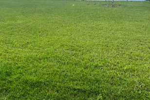 3213 Trinity Cir, Fort Pierce, FL 34945 - Photo 19