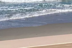 500 Ocean Dr, Juno Beach, FL 33408 - Photo 3