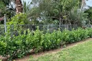 4404 SE Mulford Ln, Stuart, FL 34997 - Photo 3