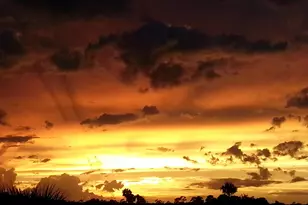 351 Del Monte Rd, Sebastian, FL 32958 - Photo 73