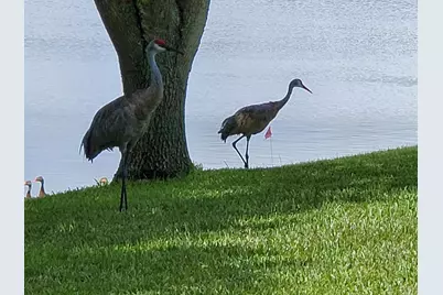 6711 Dickinson Terrace, Port Saint Lucie, FL 34952 - Photo 31