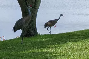 6711 Dickinson Terrace, Port Saint Lucie, FL 34952 - Photo 31