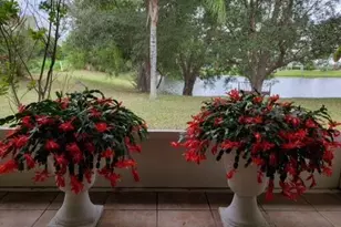 6711 Dickinson Terrace, Port Saint Lucie, FL 34952 - Photo 53