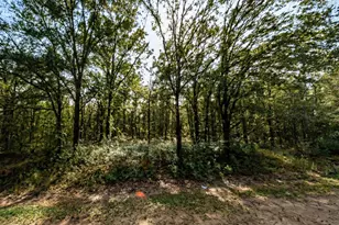 4815 Randolph St, Hastings, FL 32145 - Photo 1