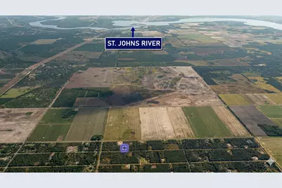 10335 Hennessey Avenue, Hastings, FL 32145 - Photo 3