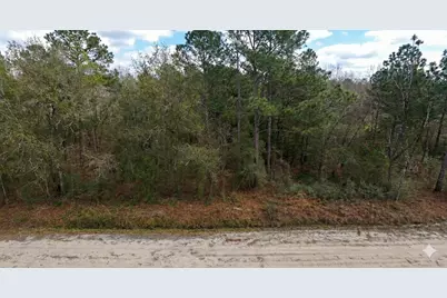 10230 Zigler Avenue, Hastings, FL 32145 - Photo 3