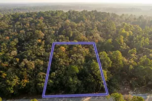 10230 Zigler Ave, Hastings, FL 32145 - Photo 1