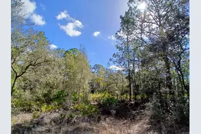 11991 W Flaxen Drive, Crystal River, FL 34428 - Photo 7