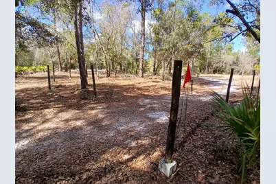 11991 W Flaxen Drive, Crystal River, FL 34428 - Photo 3